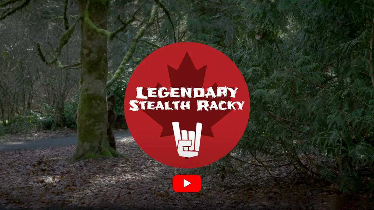 cover image for Legendary Stealth Racky video